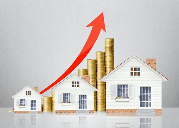 Quản lý & vận hành bất động sản